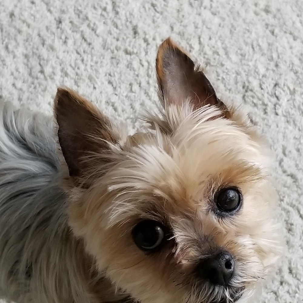 My Bella